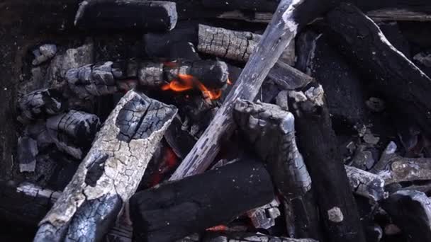 Ogień Węglowy Popiół Grillowania — Wideo stockowe