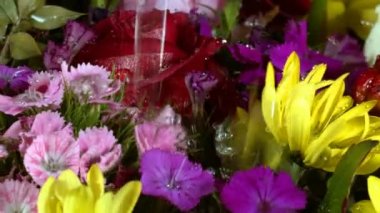 Water Drops on Colorful Romantic Flowers 