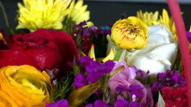 Colorful Romantic Flora Flowers 