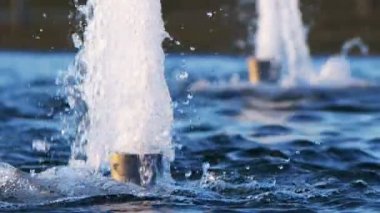 The Blue Water Fountain