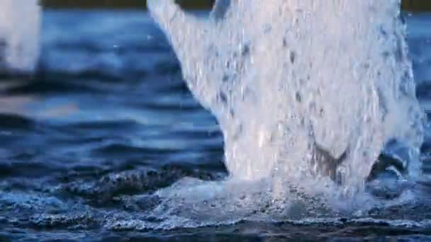 Blue Water Fountain — Stockvideo