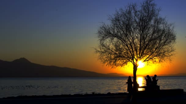People Silhouette Sunset Sea — Stok video