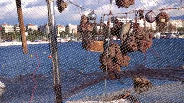 Trockener Schwamm Hinter Fischernetzen — Stockvideo