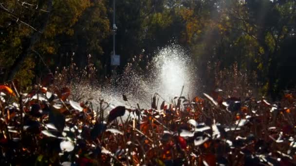 Piscine Fontaine Dans Parc — Video