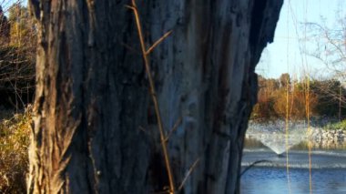 Parktaki Çeşme Havuzu