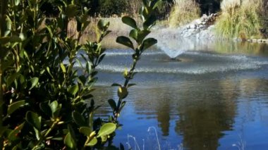 Parktaki Çeşme Havuzu