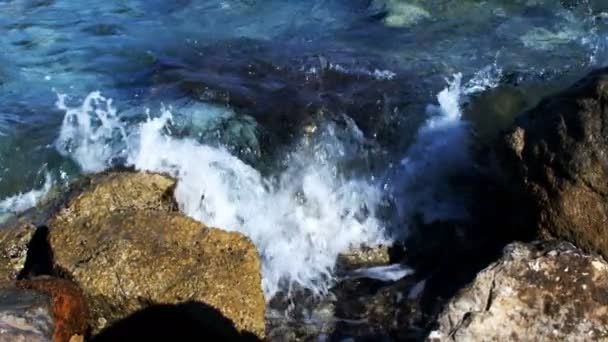 Морська Вода Камені Під Водою — стокове відео