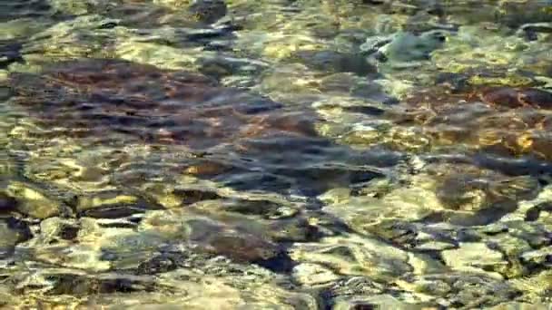 Acqua Del Mare Pietre Sott Acqua — Video Stock