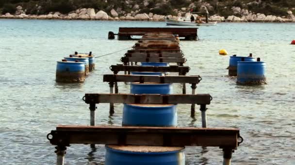 Das Dock Und Das Meer — Stockvideo