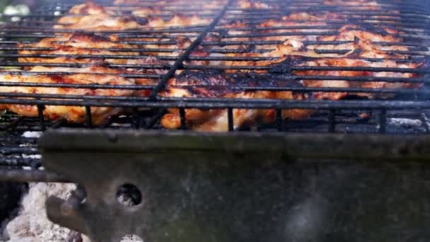 Barbacoa Pollo Sobre Fuego Carbón — Vídeos de Stock