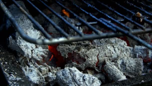 Barbacoa Pollo Sobre Fuego Carbón — Vídeos de Stock
