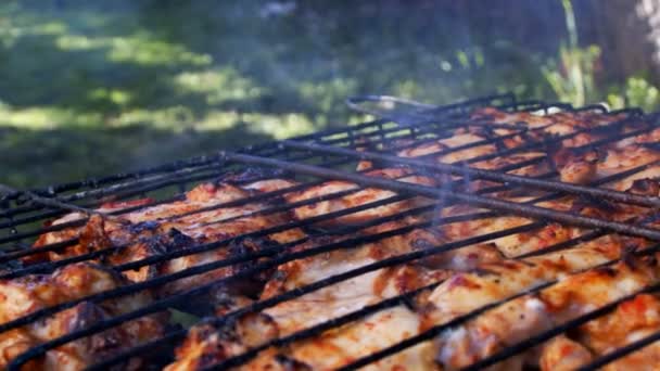 Barbacoa Pollo Sobre Fuego Carbón — Vídeo de stock