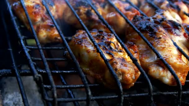Chicken Barbecue Coal Fire — Stock Video