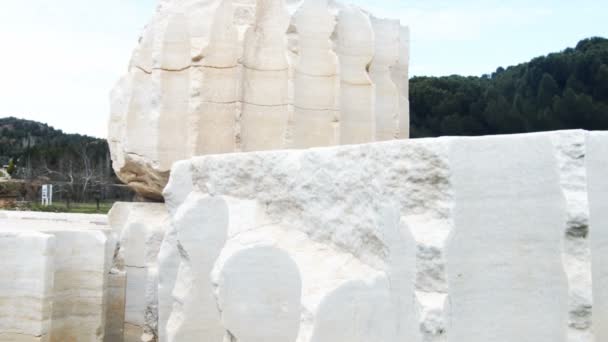 Templo Artemisa Sardes Lydia Antigua Ciudad Histórica Salihli Manisa Turquía — Vídeo de stock