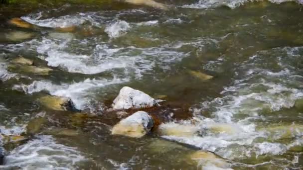 Naturligt Vattenfall Och Flod — Stockvideo