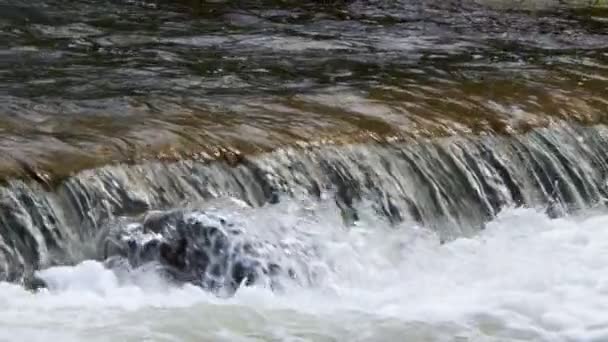 Natürlicher Wasserfall Und Fluss — Stockvideo