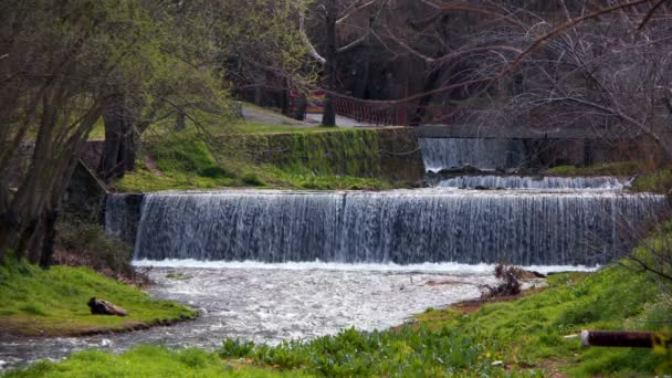 Natürlicher Wasserfall Und Fluss — Stockvideo