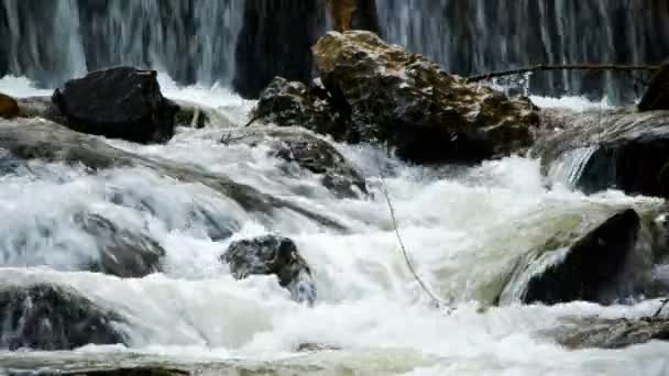 Chute Eau Naturelle Rivière — Video