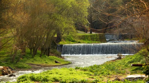 Natürlicher Wasserfall Und Fluss — Stockvideo