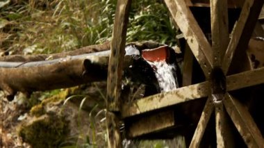 Yeşil Doğadaki Su Değirmeni