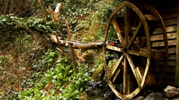 Wassermühle Grüner Natur — Stockvideo