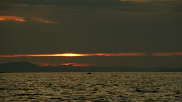 Mare Nella Luce Del Tramonto — Video Stock