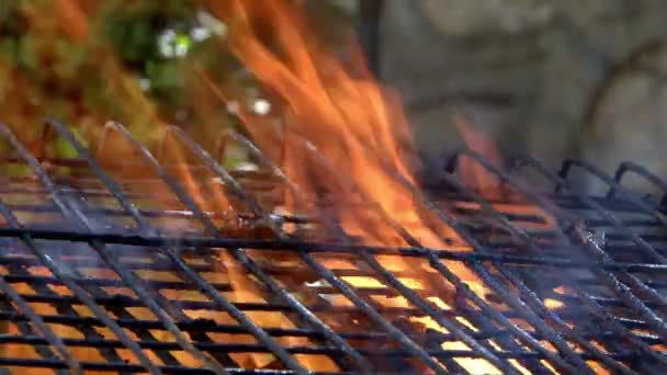 Holz Und Kohlefeuer Brennen Hinter Gittern — Stockvideo