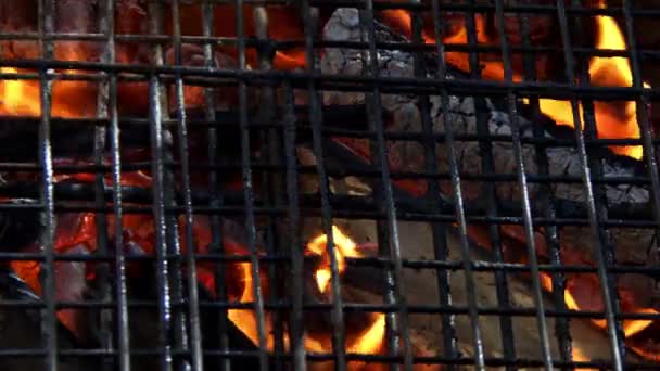 Holz Und Kohlefeuer Brennen Hinter Gittern — Stockvideo