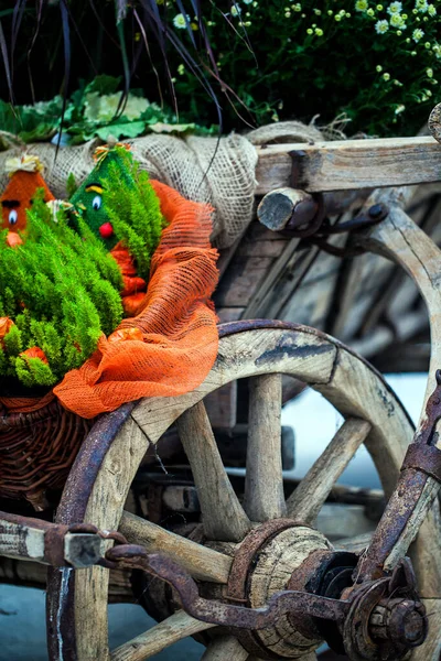 Vecchia Carrozza Legno Cavallo Ruote Vintage Foto — Foto Stock