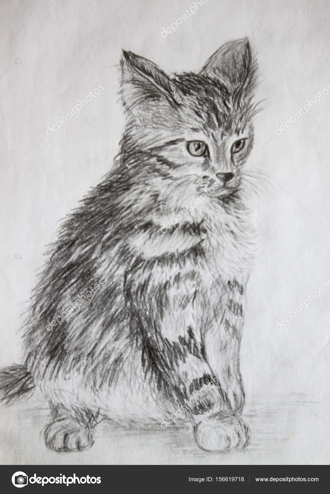 Chat Effrayé Dessin Au Crayon De Dessin Photographie