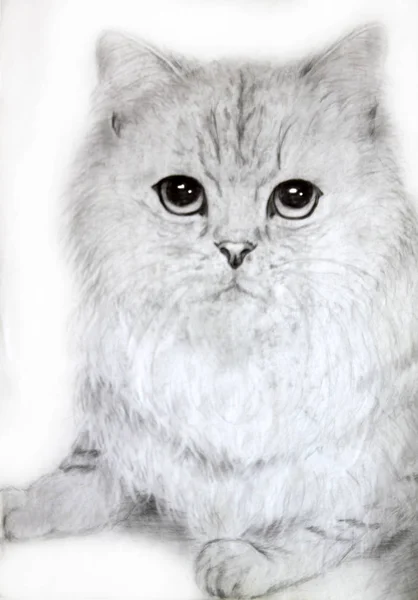 穏やかなかわいい猫の鉛筆画 — ストック写真