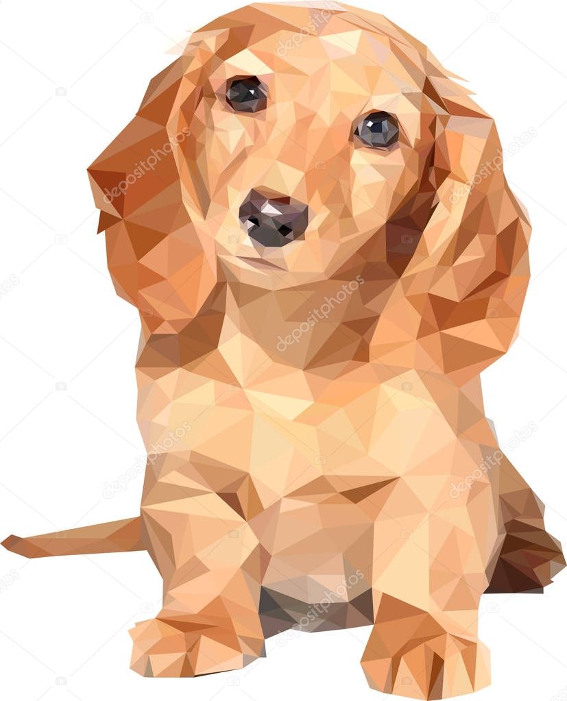 dog of low poly polygonal cocker spaniel