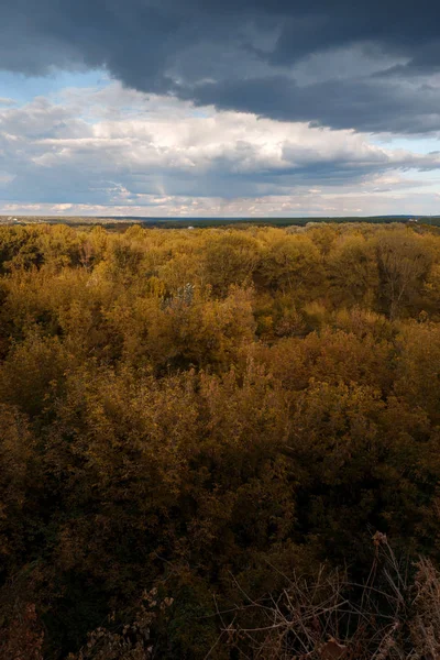 Podzimní Krajina Pohled Dřevo Barva Podzimu — Stock fotografie