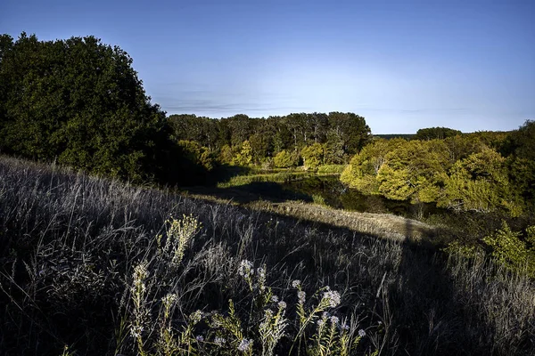 Manzara. Göl manzarası güzelmiş. Yeşil çimen ve ağaç. Su.. 