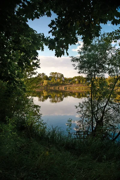 Manzara. Göl manzarası güzelmiş. Yeşil çimen ve ağaç. Su.. 