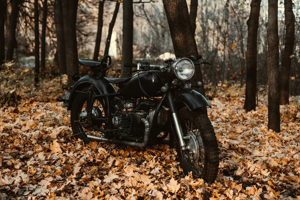 Black Old Russian Motorbike 750 Autumn Wood — Stock Photo, Image