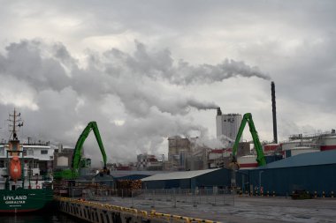 Husum / İsveç - 7.05.2019: Husum limanında kereste kargosunun boşaltılması. Kıyı vinciyle kamyona kereste yüklüyorum. Bulanık. 