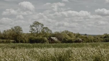 Buğday alan bir bulutlu yaz gününde