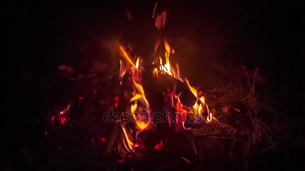 Bonfire burning on wooden boards — Stock Video