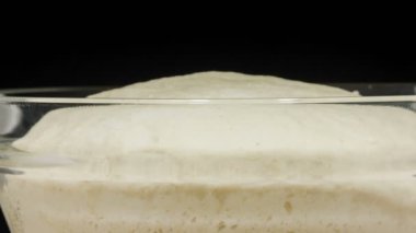 kase hamur büyüyen 