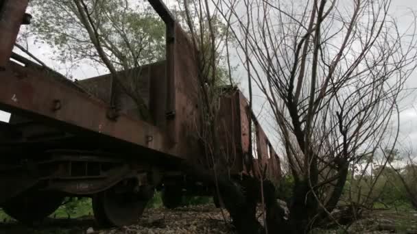 Old decaying train — Stock Video