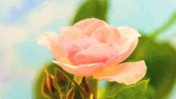 ピンクのバラの花の時間経過 青い背景を背景に バラの花の成長 開花のマクロタイムラプスビデオ — ストック動画
