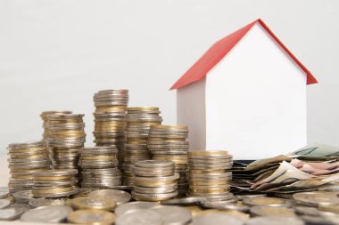 Ev bakımı ile ilgili maliyetleri.