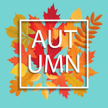  çerçeve ile renkli sonbahar yaprakları