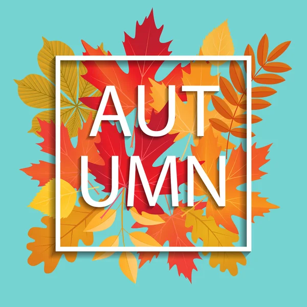  çerçeve ile renkli sonbahar yaprakları