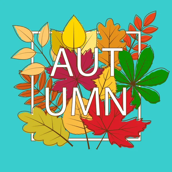 Quadro com folhas de outono coloridas — Vetor de Stock