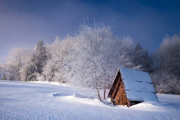 Invierno en Polonia Fotos de stock