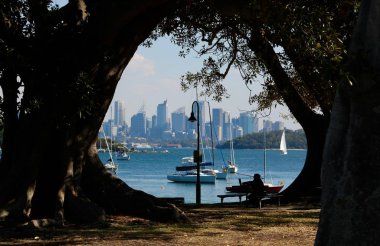 10 Mayıs 2018 - Sydney Avustralya: Ağaçların arasından ufuk çizgisi görüntüsü