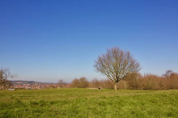 Pohled přes pastviny na kopci Horsenden s modrou oblohou nad — Stock fotografie
