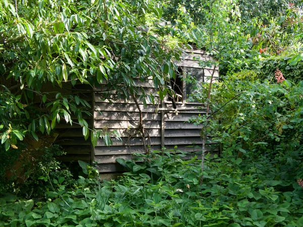 木や茂みの中に隠された古い老朽化した木製の小屋の半分 — ストック写真
